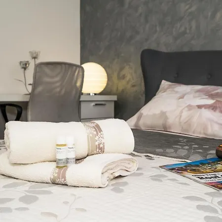 Luxury 1 Bedroom App Center&balcony Free Parking Apartment
